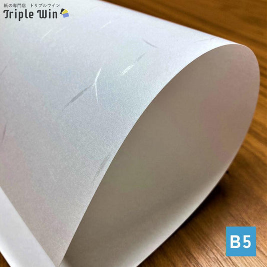 大礼紙 和風コピー用紙 B5 100枚-Triple Win