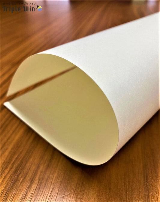 淡クリームキンマリ A4 100枚-Triple Win