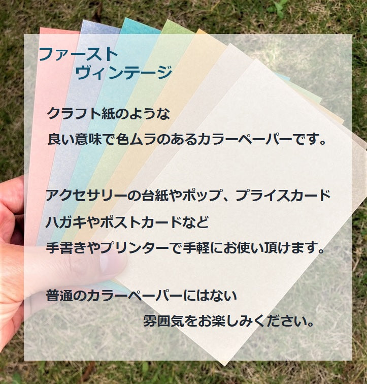 プライスカード ファーストヴィンテージ【2サイズ】-Triple Win