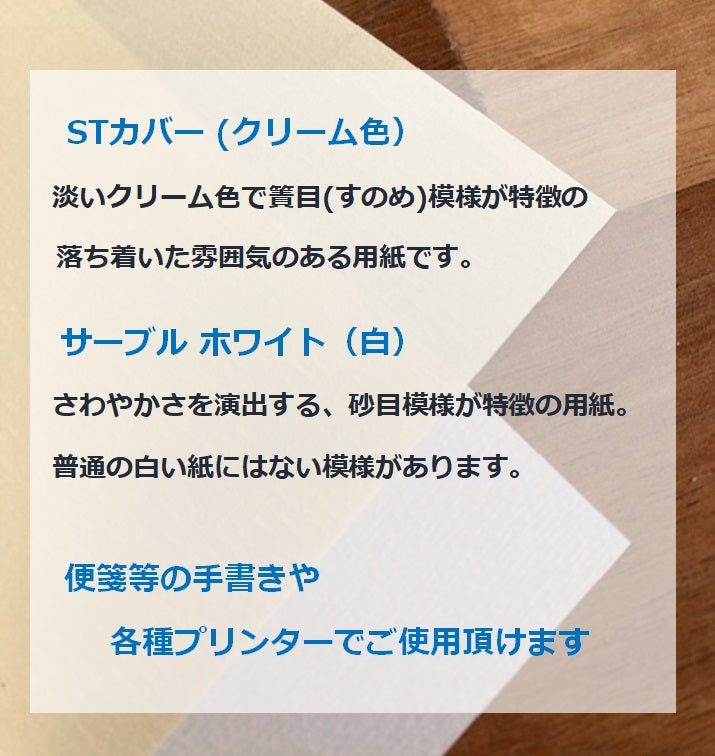 サーブルホワイト B5 100枚-Triple Win