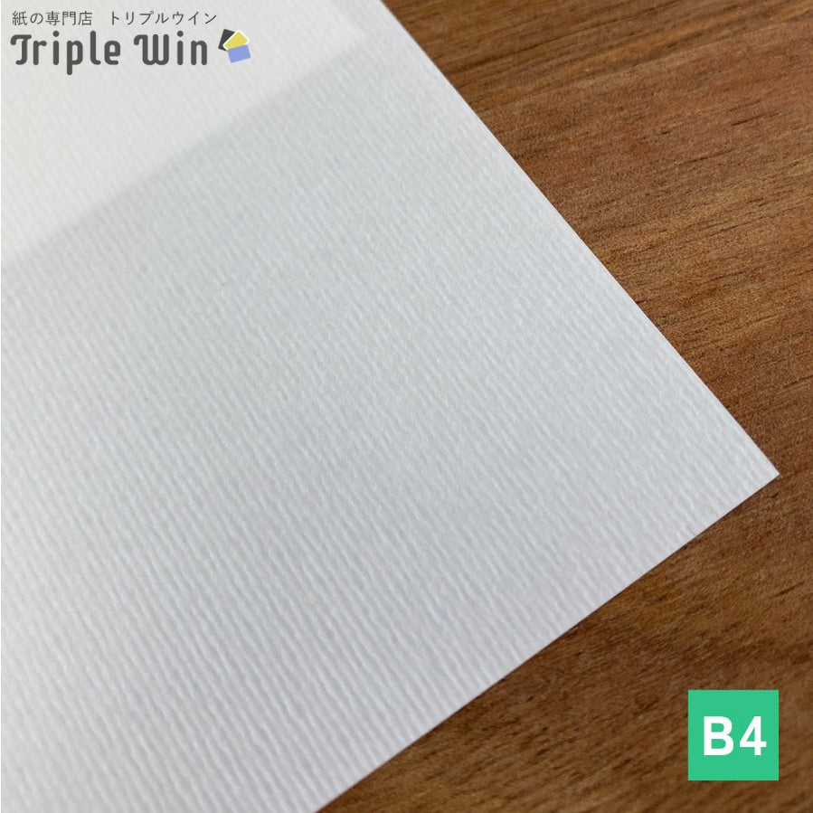 サーブルホワイト B5 100枚-Triple Win