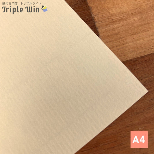 STカバー A4 100枚-Triple Win