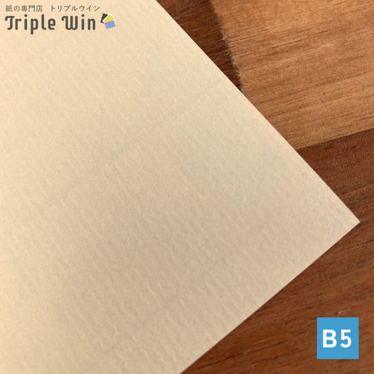 STカバー B5 100枚-Triple Win